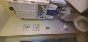 Bathroom Refresh c (4)