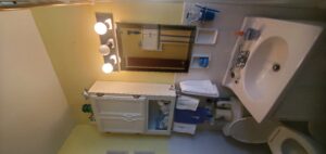 Bathroom Refresh c (5)