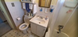 Bathroom Refresh c (6)