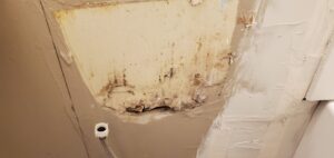 Bathroom Refresh - previous contractor fixes (1)