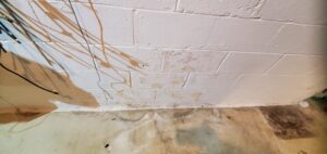 basement wall sealing