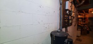 basement wall sealing