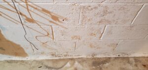 basement wall sealing